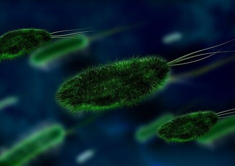 the cause of gastritis is a bacteria - Helicobacter